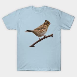 Rustic Bunting Bird Vector Isolated T-Shirt